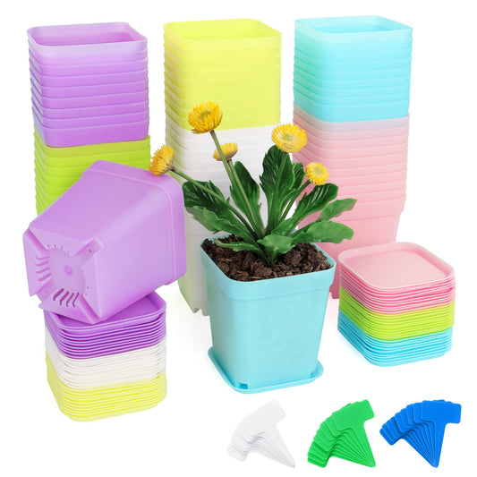Fippy Anzuchttöpfe 60er Set, 7 cm, quadratische Kunststoff-Pflanztöpfe mit Untersetzern & 60 Pflanzenetiketten, Mehrfarbig