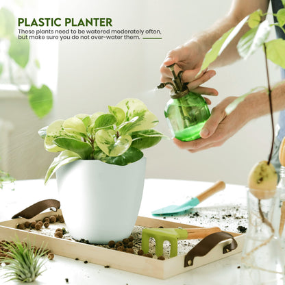 Utopia Home Blumentöpfe 5er Set, 12–18 cm, Pflanztöpfe mit Untersetzer für Zimmerpflanzen, Balkon & Garten, Weiß